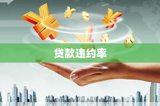 青川贷款违约率