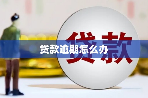 青川贷款逾期怎么办
