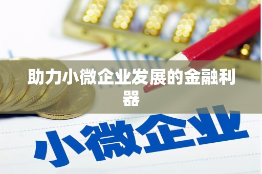 青川助力小微企业发展的金融利器