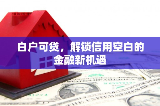 青川白户可贷，解锁信用空白的金融新机遇