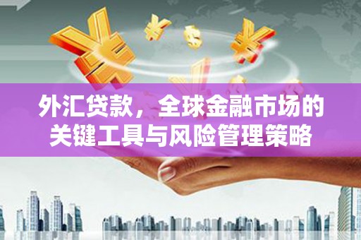 青川外汇贷款，全球金融市场的关键工具与风险管理策略
