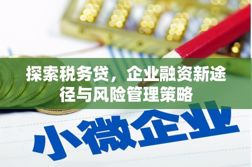 青川探索税务贷，企业融资新途径与风险管理策略