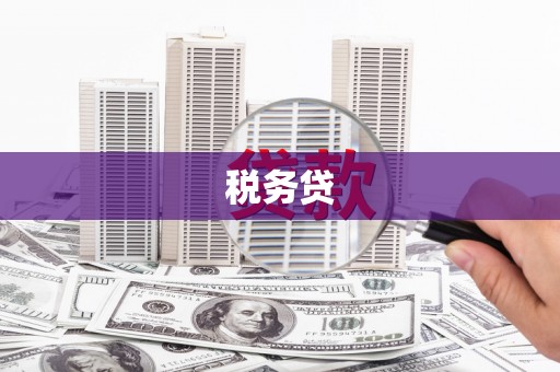 青川税务贷