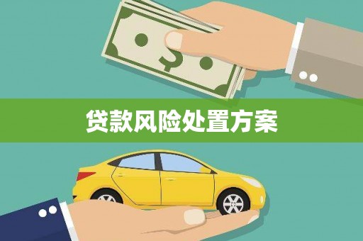 青川贷款风险处置方案