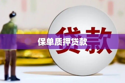 青川保单质押贷款