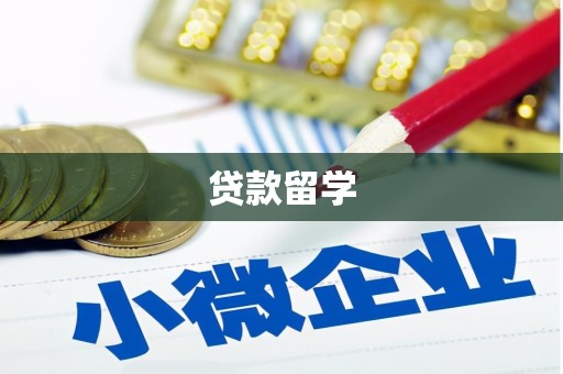 青川贷款留学
