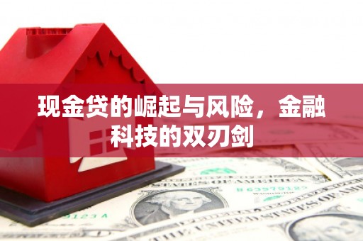 青川现金贷的崛起与风险，金融科技的双刃剑