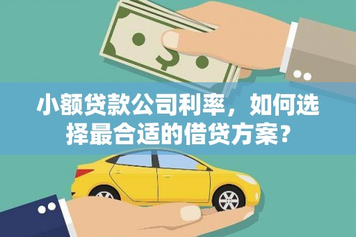 青川小额贷款公司利率，如何选择最合适的借贷方案？