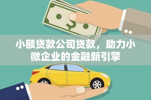 青川小额贷款公司贷款，助力小微企业的金融新引擎