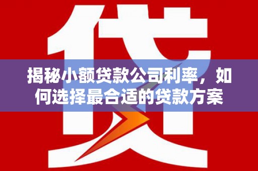 青川揭秘小额贷款公司利率，如何选择最合适的贷款方案