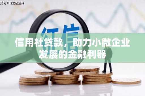 青川信用社贷款，助力小微企业发展的金融利器
