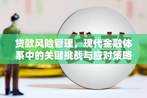 青川贷款风险管理，现代金融体系中的关键挑战与应对策略