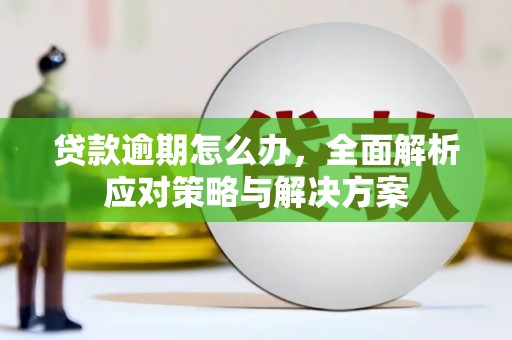 青川贷款逾期怎么办，全面解析应对策略与解决方案