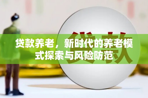 青川贷款养老，新时代的养老模式探索与风险防范